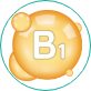 B1